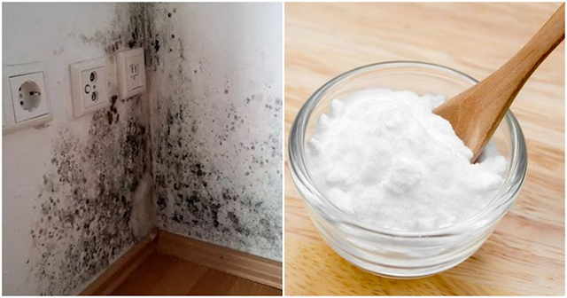 Cách làm sạch tường nhà bị mốc bằng baking soda và giấm