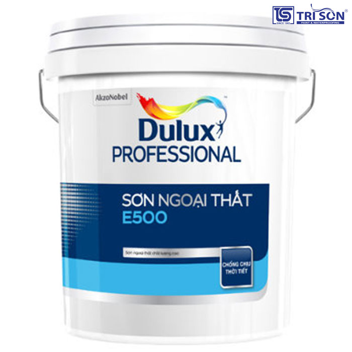 dulux-professional-e500